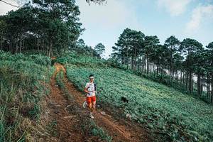 BIB: 
                            <button type="button" onclick="openModal(25653960)" class="btn btn-primary btn-sm float-right btn-popup" data-toggle="modal" data-target=".modal-high-quality">
                        <i class="fas fa-shopping-cart"></i> Add to Cart
                    </button>
                                            <button type="button" onclick="isThisMe(25653960, true)" class="btn btn-success btn-sm float-right btn-popup btn-isme hidden" data-toggle="tooltip" data-placement="bottom" title="นี่คือรูปของคุณใช่ไหม คลิกที่นี่เพื่อเอาเข้าอัลบั้ม">
                        <i class="fas fa-plus"></i> Add to album
                    </button>
                    <button type="button" onclick="isThisMe(25653960, false)" class="btn btn-warning btn-sm float-right btn-popup btn-isnotme hidden">
                        <i class="fas fa-ban"></i> Remove from album
                    </button>